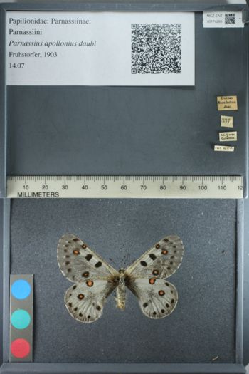 Media type: image;   Entomology 174266